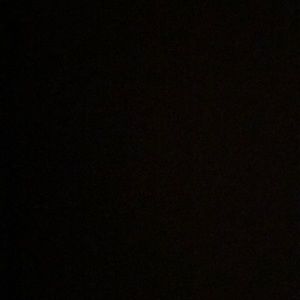 Meet your Posher, Shilat